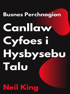cover image of Busnes Perchnogion Canllaw Cyfoes i Hysbysebu Talu
